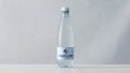 Kildevand 0,5 l